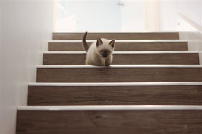 Velg en trapp som passer til din innredning