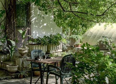 How to style and find inspiration for your garden