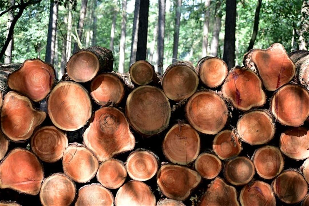 Morsø heldækkende træbeskyttelse – til et langvarigt og flot resultat