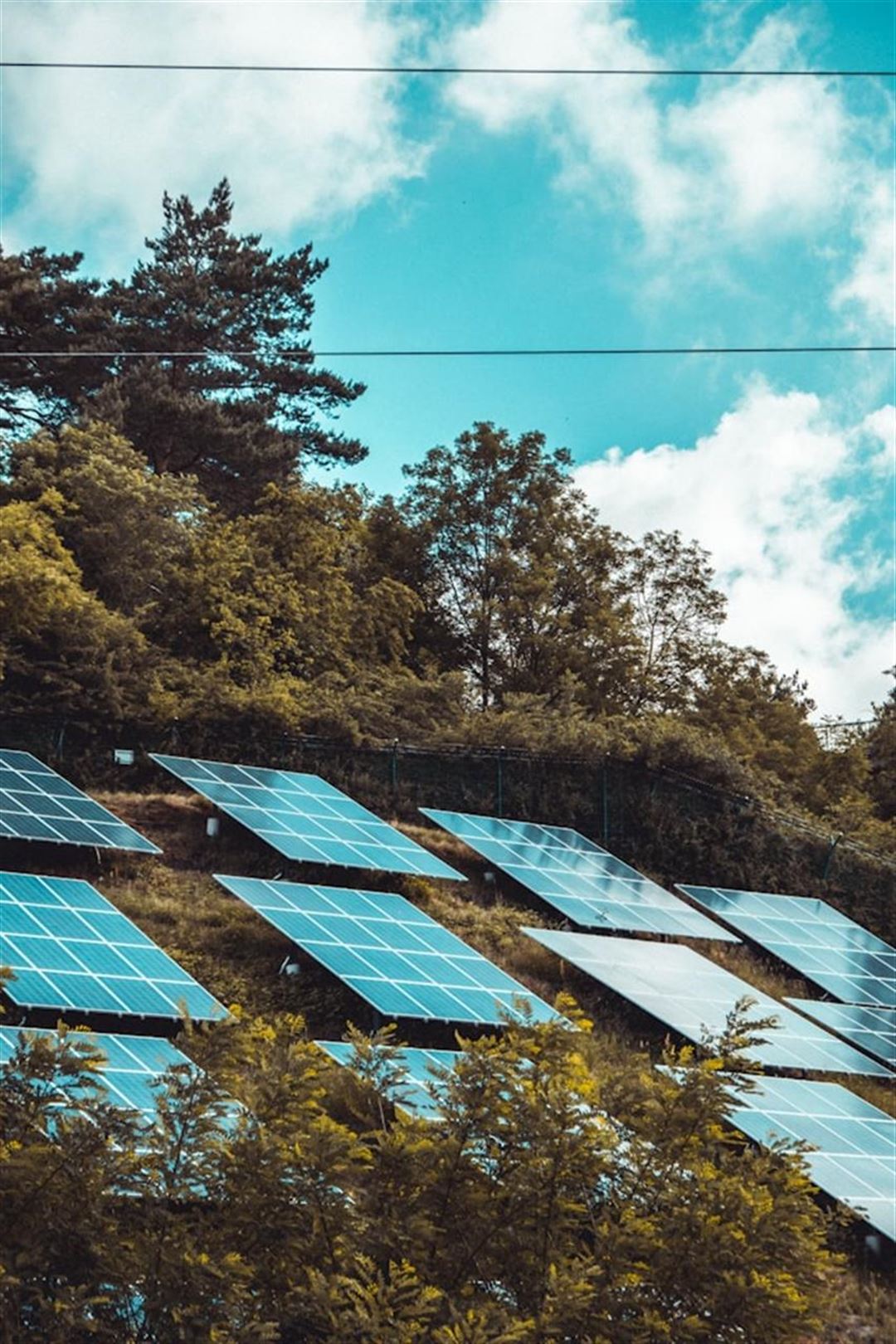 Investeringsmulighed: Hvad koster et solcelleanlæg?