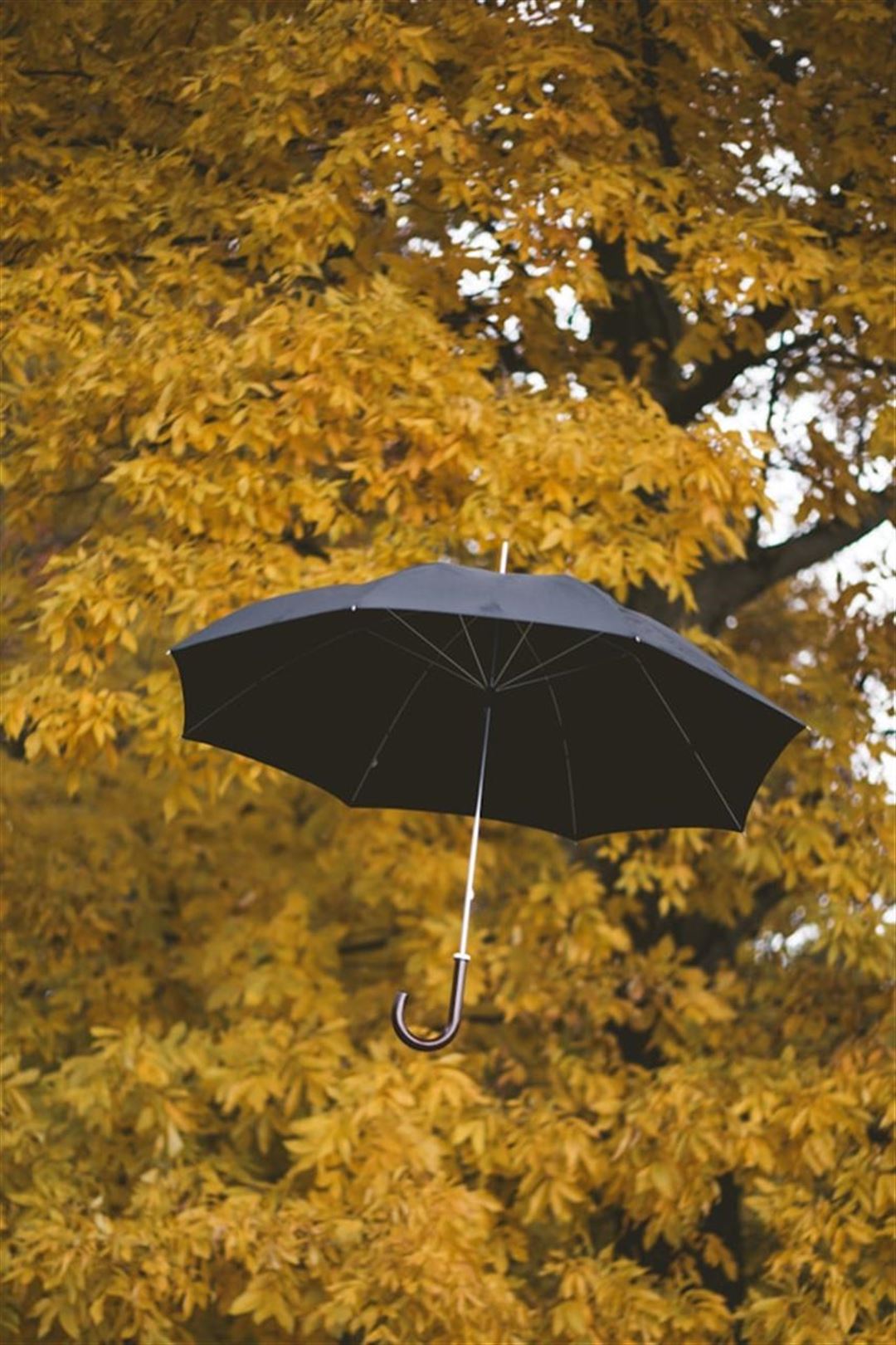 Bryllups paraply – din redning på regnvejrsdagen
