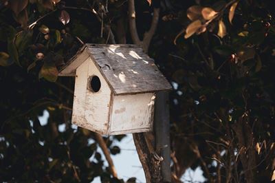 Skab et trygt hjem for havens fugle med redekasser