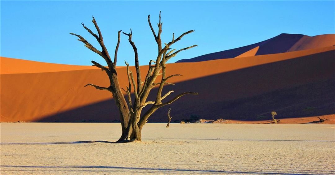 Sådan får du arrangeret din rejse til Namibia