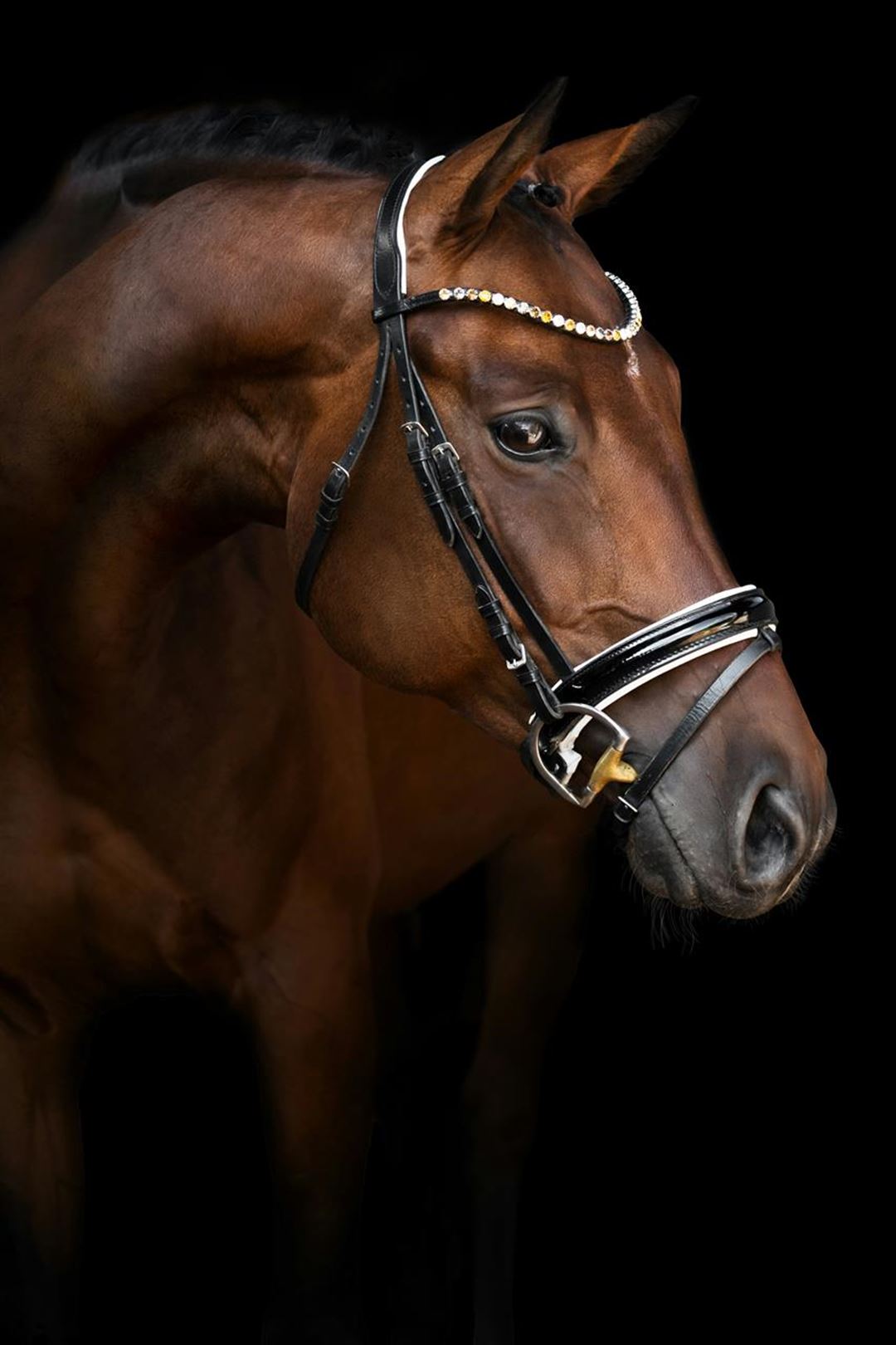 Hästfoder: en viktig faktor för hästens hälsa