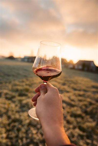 Oplev den fascinerende verden af alkoholfri vin