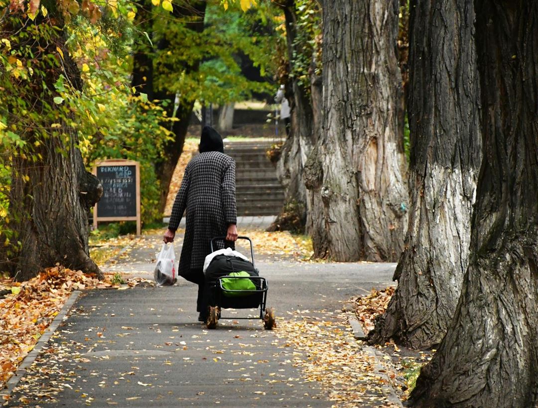 Oplev fordelene ved en indkøbstrolley til seniorer fra SeniorSalg.dk