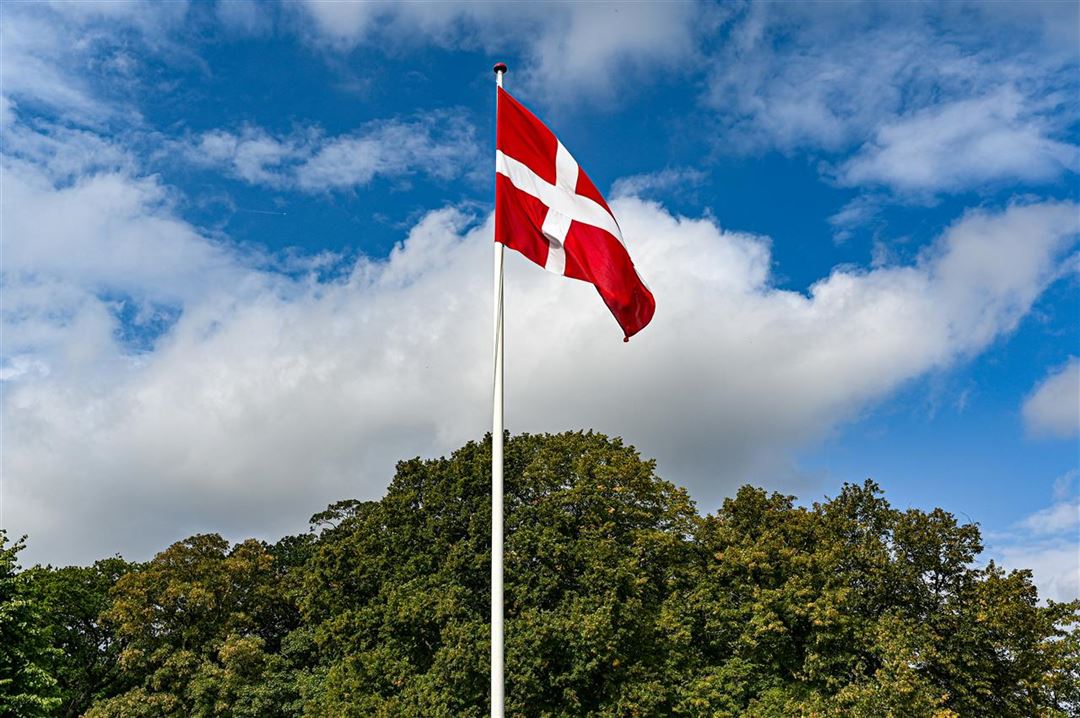 Et flot Dannebrogsflag fra Langkilde & Søn symboliserer danske traditioner og fællesskab