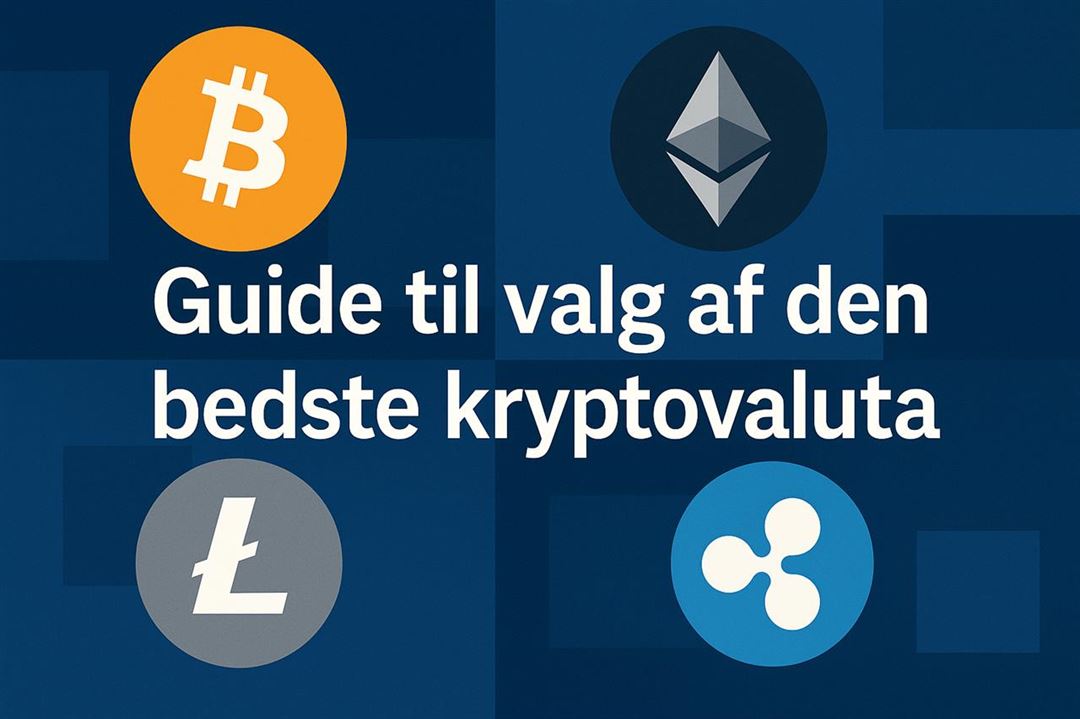 Guide til valg af den bedste kryptovaluta
