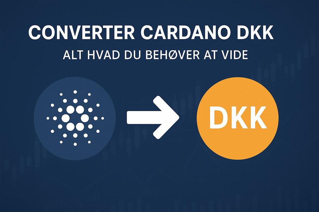Converter cardano dkk - alt hvad du behøver at vide