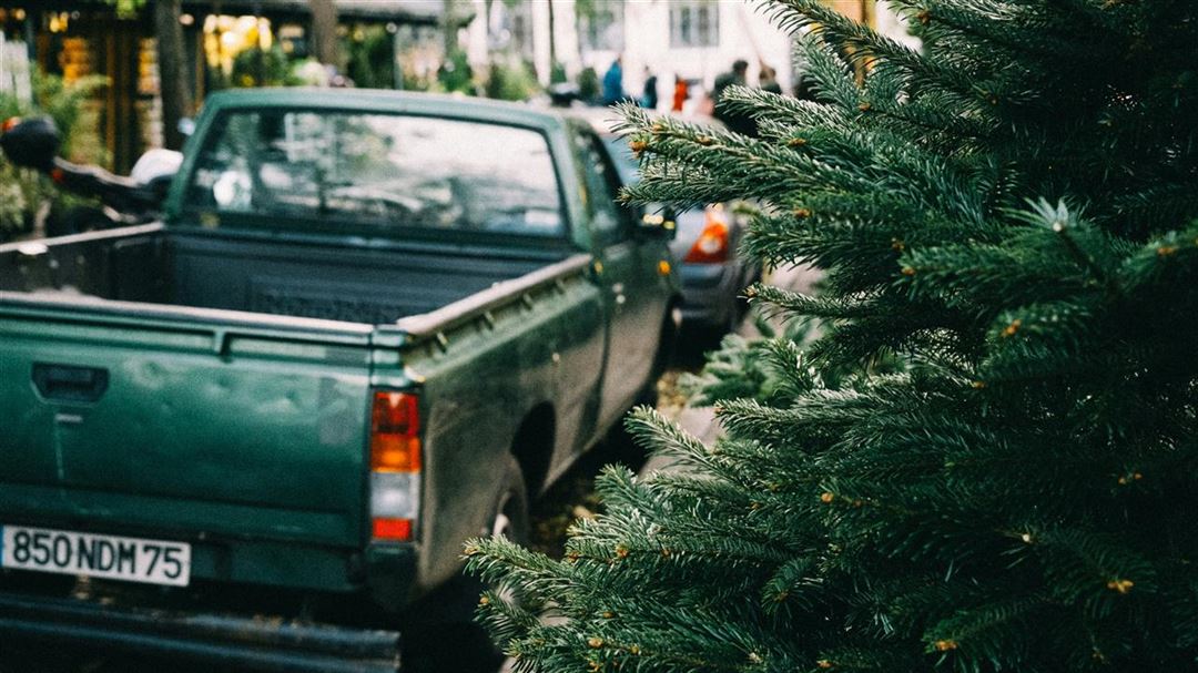 Juletræ med levering - en bekvem løsning til en travl juletid