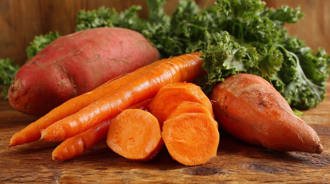 Carotin - den vigtige antioxidant for heste og mennesker