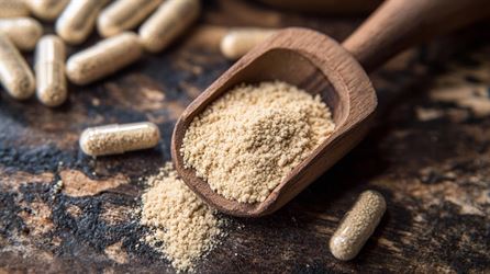 Zink till häst - ett livsviktigt mineral