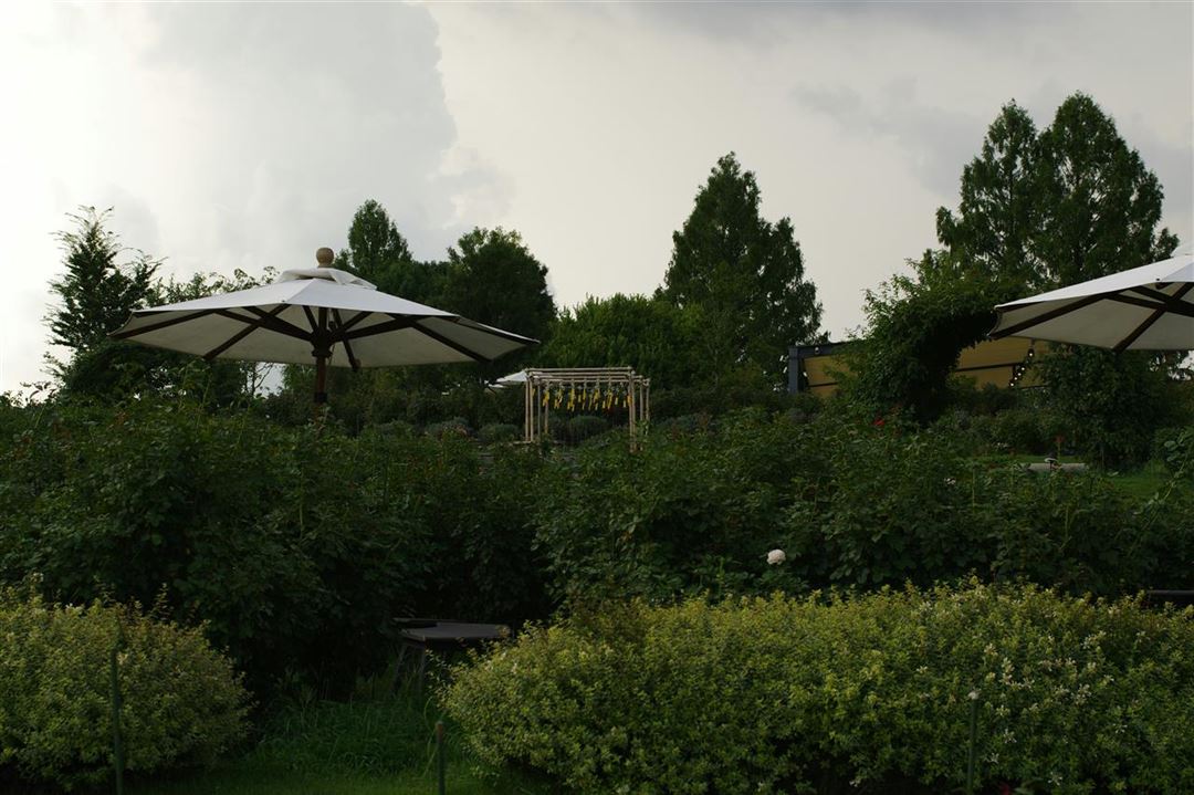 Guide til valg af den perfekte haveparasol