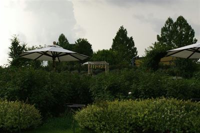 Guide til valg af den perfekte haveparasol